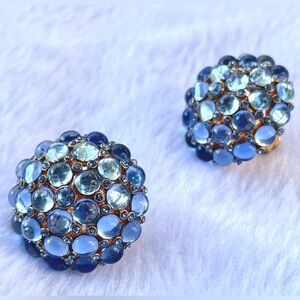 Oscar De La Renta Ocean blue clip earrings